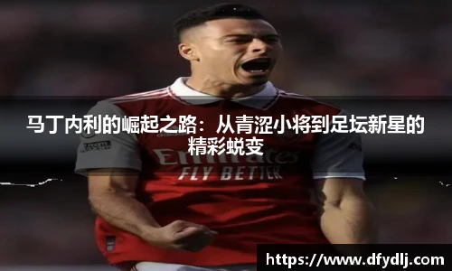 马丁内利的崛起之路：从青涩小将到足坛新星的精彩蜕变